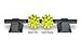 Rumble Roller Beastie Bar w/ Stands & 2 X-Firm Beastie Balls Massage Stick
