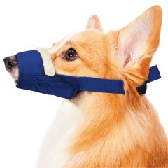 Medium Cozy Quick Muzzle Blue