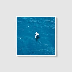Framed Canvas Home Artwork Decoration Night Canvas Wall Art for Living Room, Bedroom - 16x16 inches