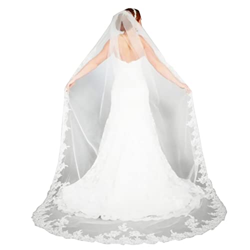 Lianshi Single layer Wedding bridal Veil Lace Appliques With Comb 3M