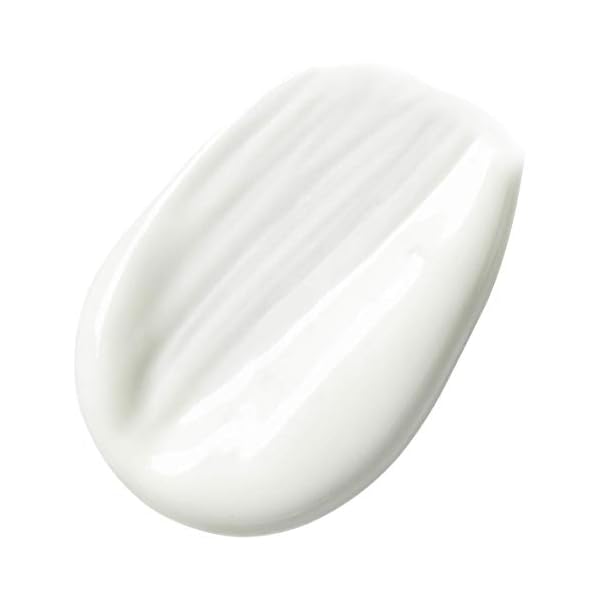 Garnier Ambre Solaire Hydra 24 Hour Protect Hydrating Protection Lotion SPF30, High Sun protection Factor 30, Water…