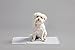 IRIS USA Neat 'n Dry Premium Pet Training Pads, Regular, 17.5