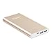 Lumsing 12000mAh Battery Pack External Portable Charger iPhone Apple Lightning Power Bank Gold