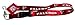 ATLANTA FALCONS OFFICIAL LOGO LANYARD KEYCHAIN