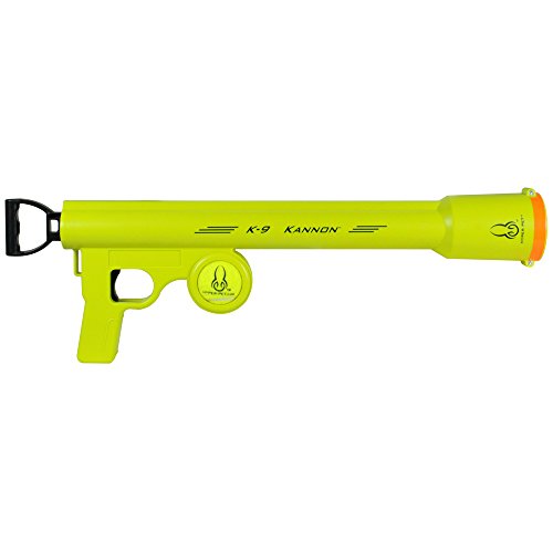 Pet Supplies, Top Selection from AmazonPets