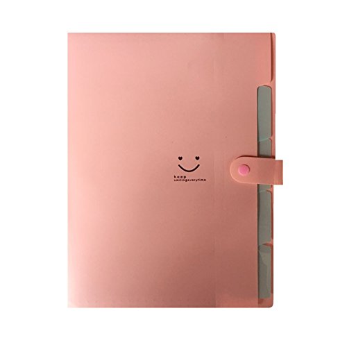 Expanding Files Box Accordion Folder - 5 Pockets Plastic Accordian File Organizer A4 Letter Size Snap Closure Paper Organize Bag and Labels Poly Expanding File - Thumbnail 6