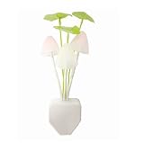 Nicerocker New Energy Saving Creative Design LED Night Light for Bed Lamp Home Decor