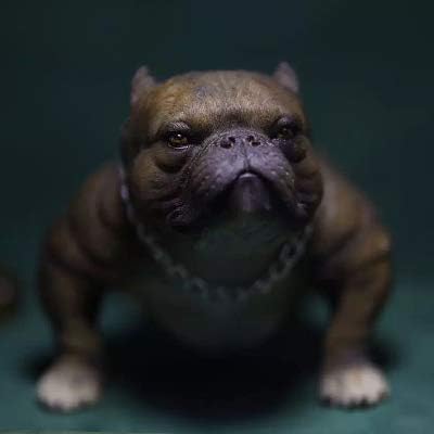 tiger bully dog