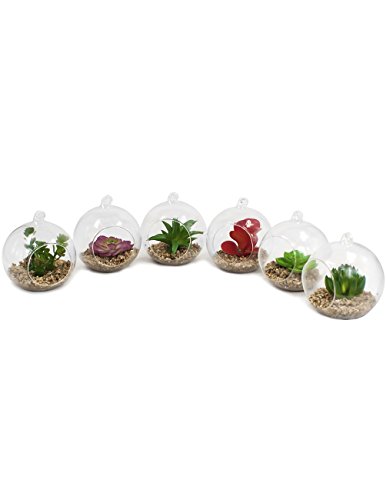 Dahlia Set of 6 Artificial Mini Succulent Potted Plant in Glass Globe Flower Pot Planter - Set A