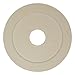 Ekena Millwork CM16AD 16 1/8-Inch OD x 3 5/8-Inch ID x 1-Inch Adonis Ceiling Medallion