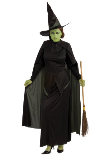 Wicked Witch Adult Costume