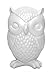 Kikkerland Owl Coin Bank