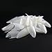 Ecbasket 500pcs Clear Sharp Ending Stiletto False Nail Tips Acrylic Nail