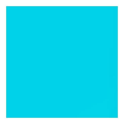 Lee Filters Bright Blue 24x21" Gel Filter Sheet, for High Temperature