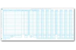 EGPCHECKS EGP General Disbursement Journal Sheet, 25 Journals Item 190NJ