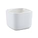 T4U 2 Inch Small White Succulent Planter Pots with Bamboo Tray Square Set of 2, Ceramic Succulent Air Plant Flower Pots Cactus Faux Plants Containers, White Modern Decor for Home and Office