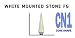 White Mounted Stones CN1 Dental Polishing 12/per Box