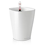 Lechuza 14900 Deltini Self-Watering Garden Planter