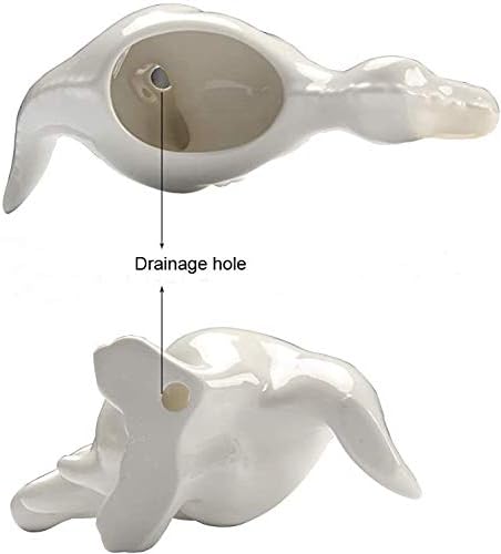 KiaoTime Dinosaur Shape White Ceramic Succulent Planters Pots little Planter flower Bonsai Plant Dino Pots Vase Container Cactus Desktop Animal Decoration Pencil Holder Nursery Pots - Image 4