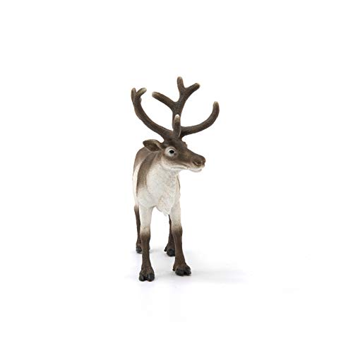 schleich WILD LIFE | Rentier 14837 | detailgetreue Tierfiguren | Zoo Spielzeug | ideales Geschenk für Jungen und Mädchen | Deko für Geburtstag | Spielfigur ab 3 Jahren | 13 x 6 x 12 cm – Bild 4
