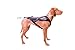 Non-stop dogwear Freemotion Harness: Padded for Active Dogs, Canicross, Skijoring & Bikejoring (9)