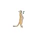 Ania Animal Pack, Meerkats