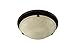 Broan-NuTone 761RB Round Fan and Light Combo for Bathroom and Home, Oil-Rubbed Bronze Finish with Ivory Alabaster Glass, 2.5 Sones, 80 CFM