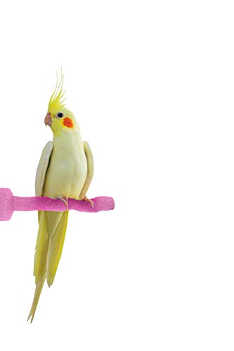 Sweet Feet and Beak Thermal-Lite Natural Patented Perch, X-Small - Pink- Perfect for Keeping Your Bird's Feet and Beaks Healthy - Thumbnail 7