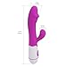 CNHIDEE Silicone Rabbit Vibrator with Multi Speed Vibration Frequencies for Clitoral and G Spot Stimulation, 4.8 Ounce