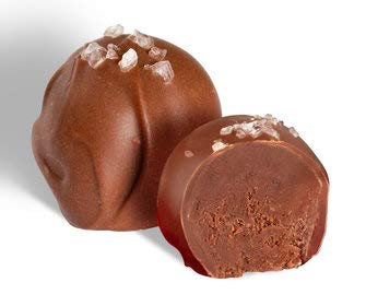 No Whey Foods - Chocolate Truffle Collection (24 Pieces) - Vegan, Plant Based, Gluten Free, Dairy Free, Nut Free, Peanut Free, Soy Free