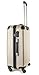 Travelcross Columbia Luggage 3 Piece Lightweight Spinner Set (Champagne)