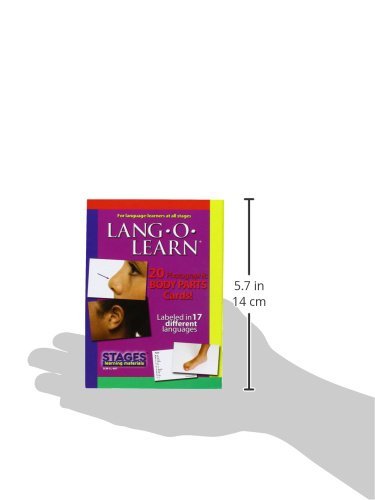 Stages Learning Materials Lang-O-Learn ESL Body Parts Vocabulary Photo Cards Flashcards for English, Spanish, French, German, Italian, Chinese & More