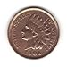 1906 U.S. Indian Head Cent / Penny