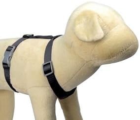 boots and barkley leash