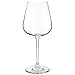 Set of 4 Crystal Red Wine Glasses 450ml (15.2 oz.) - Lead-Free Glass