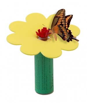 Nature Watch Butterfly Feeder Craft Kit Makes 1 Project Amazon
