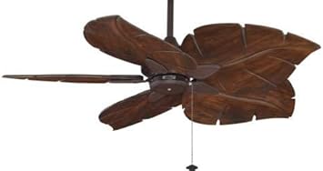 Fanimation Windpointe 5 Blade Custom Ceiling Fan Model