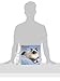 2016 Ragdoll Cats Wall Calendar