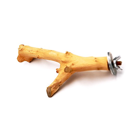 Borange Bird Perch Parrot Perches Natural Wood Branches for Parakeets for Small Large Birds Cockatiel Conure Cage Accessory (15cm/6 inch) - Thumbnail 3