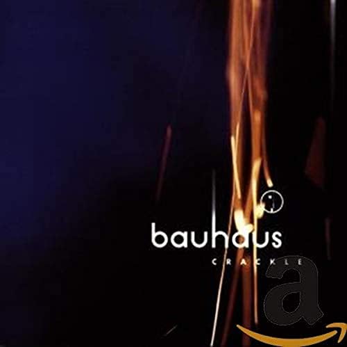 ミュージック BAUHAUS DVD shadow of light archive Amazon.com: Bauhaus: Shadow of Light/Archive : Bauhaus: CDs & Vinyl