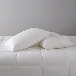 Amazon Basics Down Alternative Bed Pillow and