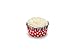 Fox Run Circus Foil Muffin and Cupcake Liners, Set of 75, Standard Size Wrappers