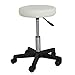 F2C Leather Adjustable Bar Stools Swivel Chairs Facial Massage Spa Salon Stool with Wheels White/Black (White)