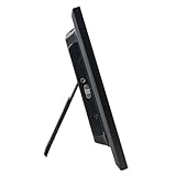 Pandigital PI8004W01B