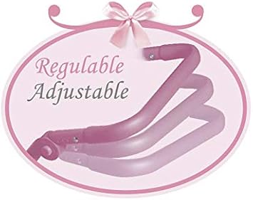 carro gemelar daniela