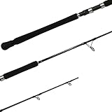 SAC Shimano Terez TZS69M Saltwater Spinning Rod