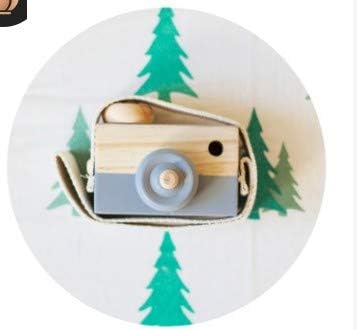Oyria Kids Wooden Mini Camera Toy, Natural Cute Wood Camera Sharpe Toy with Neck Strap Kids' Room Hanging Decor for Baby Toddlers Children,Grey