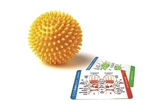 Porcupine Sensory Massage Ball 3" inches (Color may vary)