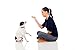 Pet Eden Sweet Potato Chicken Dog Treats Made in USA Only, Grain-Free, All Natural Jerky Sticks for Small and Large Dogs, 1 lb