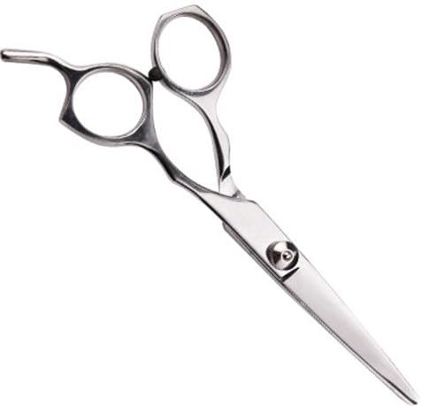 Professional Durable Stainless Steel Pet Grooming Scissors,for Dog Cat Hair Cutting,Comfortable, Functional and Ergonomic (6.0 inches-Straight Shears)